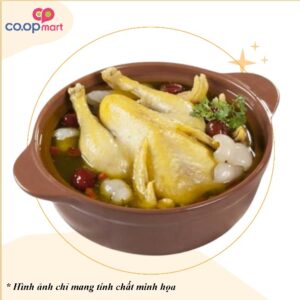 Lẩu gà tiềm hạt sen + mì