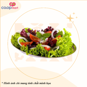 CVP33 - Salad trộn hộp không trứng