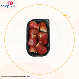 CVP76 - Mận gọt sẵn